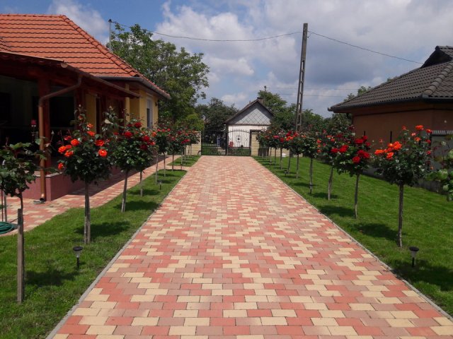 Steigerwald-Szabó Zsuzsanna és Steigerwald Roland kertje 03